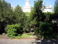 06 Csapody Istvánné